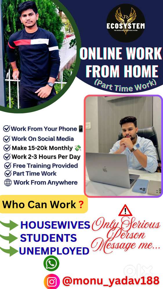 Digital Marketing (Online Work)