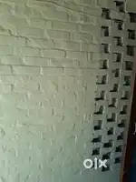 Kalyaang 027