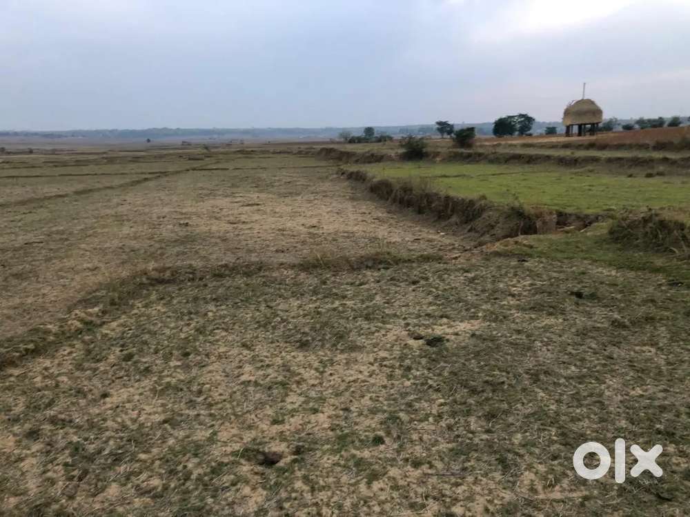 Land for sale in kusmi gram panchayat jamira samri