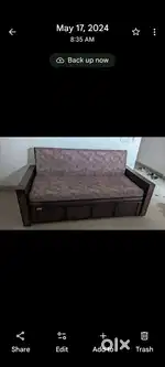 Sofa cum Bed