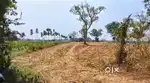 farm land for sale, near malavalli thaluk, hosa hally village.