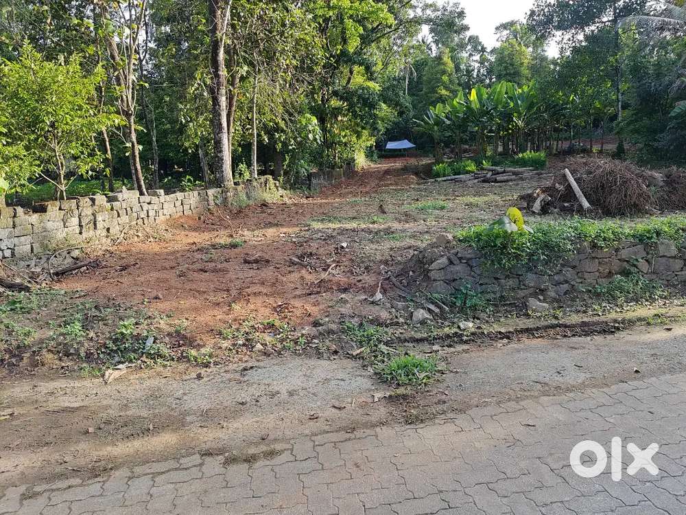 Silver Spring Villa_ Perumbavoor House plot.