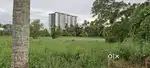 Nilam for sale ( Market road, near to Skyline Ranch)
