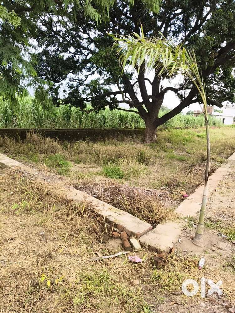 Plot Sale in Shyam Vatika (main road muradnagar, Ghaziabad