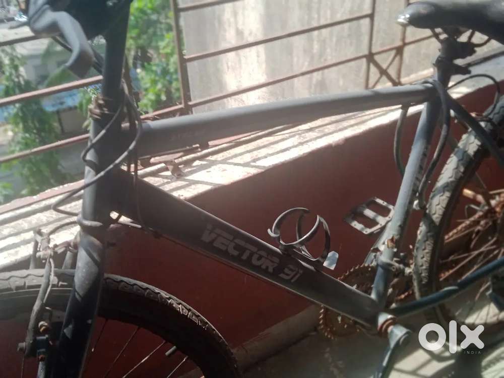 Please buy this cycle