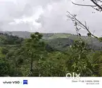 1.24 Acre Land with Pine Forest View for Sale near Vagamon Meadows