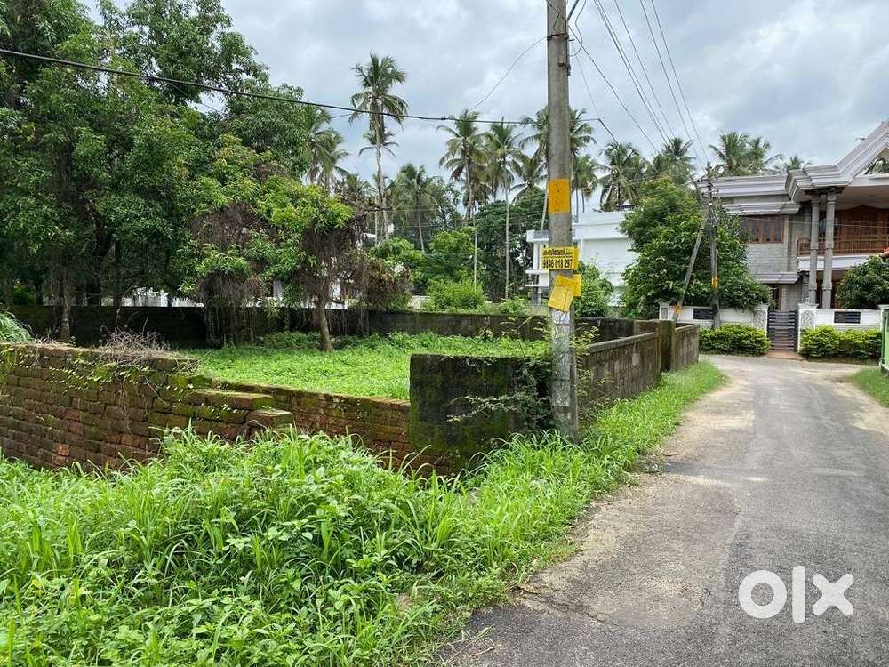 Nellikkunnu Church near 7.88 cents Residential land