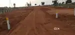 Open Land Next to Amazon Data Center