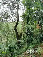 Plot for sale