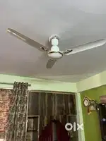 Two ceiling fans in brand new condition