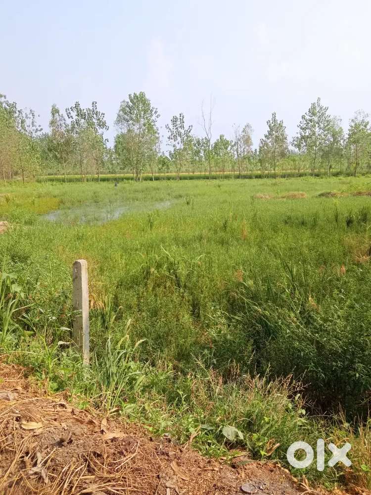 10 bigha land 14 lakh per bigha in biharigarh saharanpur dehradunroad