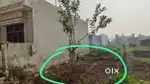 Plot in chilkiya ramnagar urgent sale
