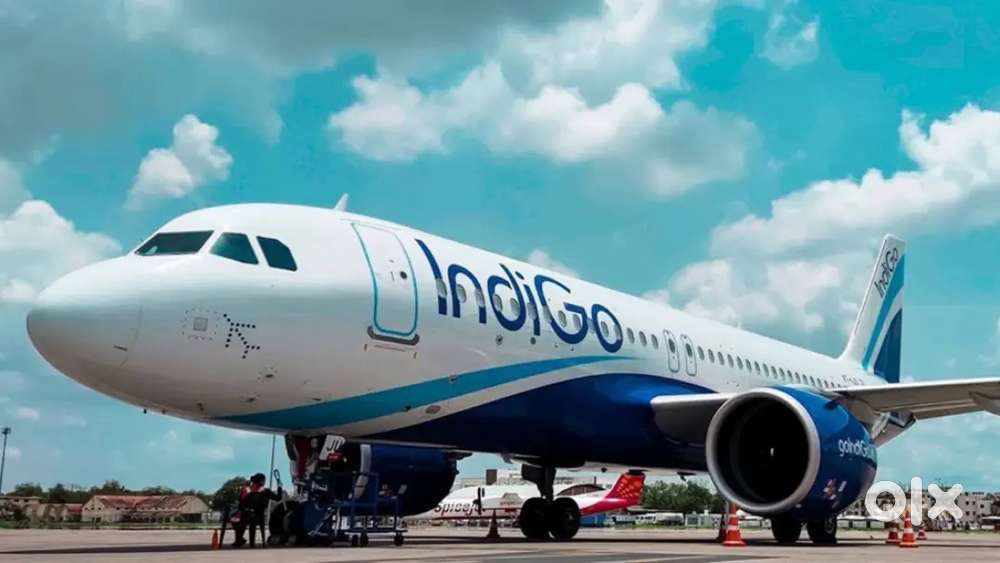 We are hiring best candidate for Indigo airline apply fast