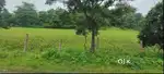 land for rent near CAT squar