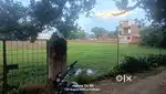 19 biswa land in Umaraha gaav