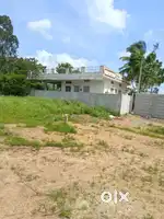 Short time investment plots for your kid's