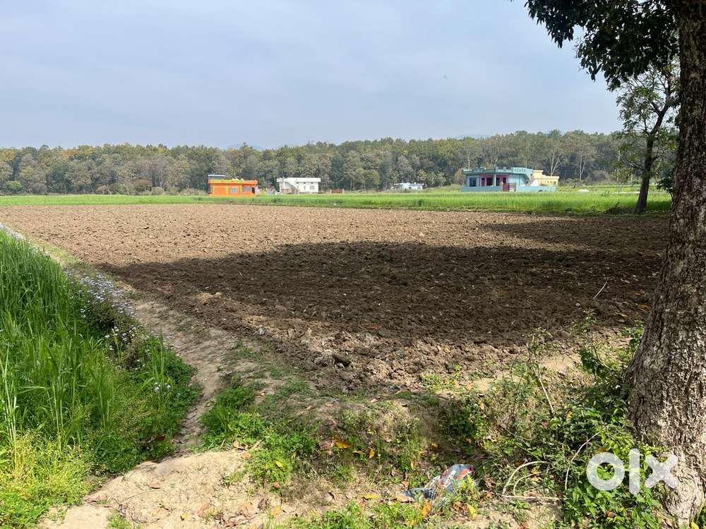 Prime 3000 Gaj plot for sale near Jollygrant Airport, Dehradun