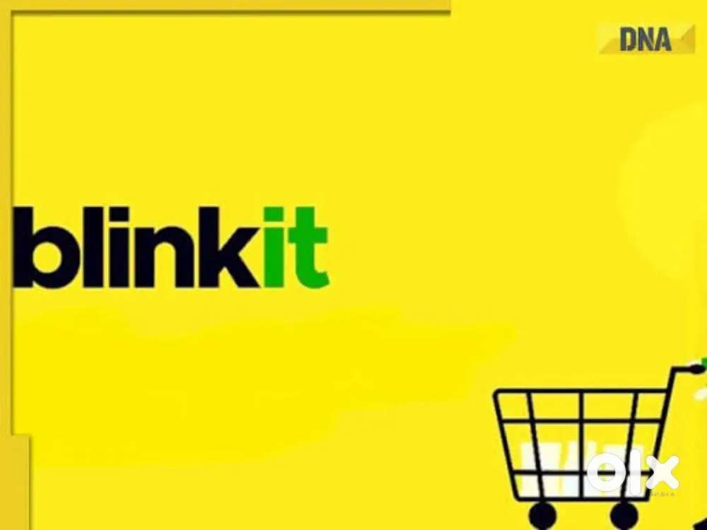 BLINKIT GROCERY DELIVERY JOB