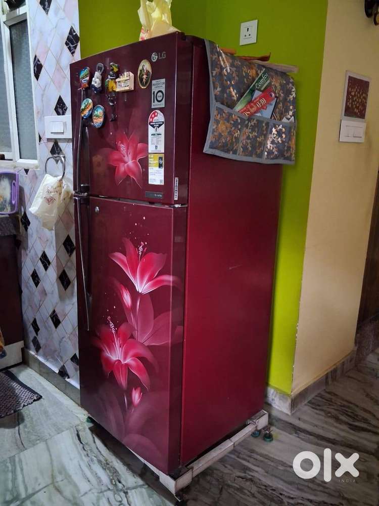 LG Double Door Fridge
