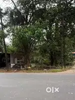 Opposite gov hospital Kodencherry