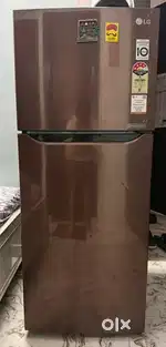 Lg 4-Star Double Door 260L Fridge