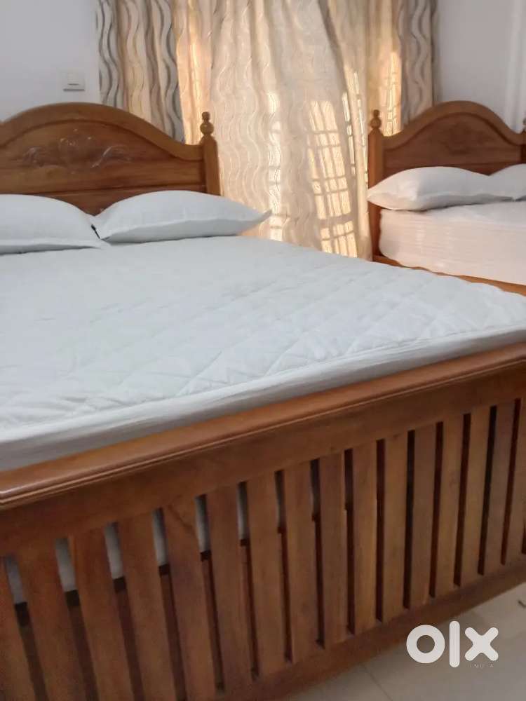 Furnished,DoubleCot Bed for Ladies Near ChangampuzhaParkMetro Edapally