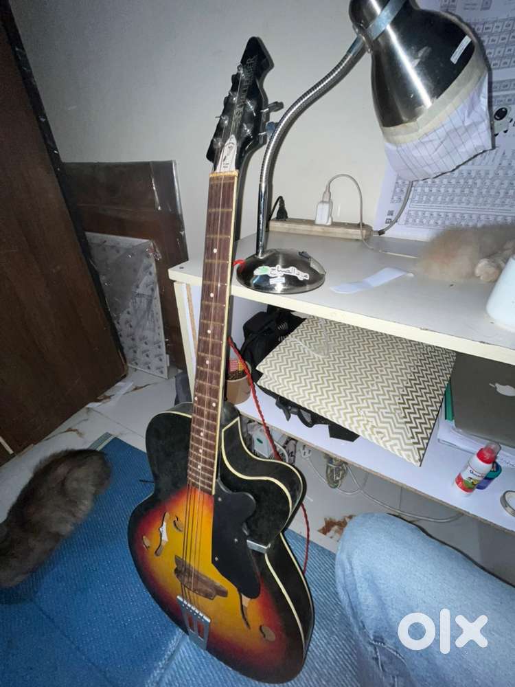 Acostic Guitar