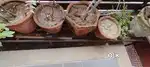 Pots stand