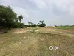 8.5 acres farming land available for sale kanchi to uttheramerur road