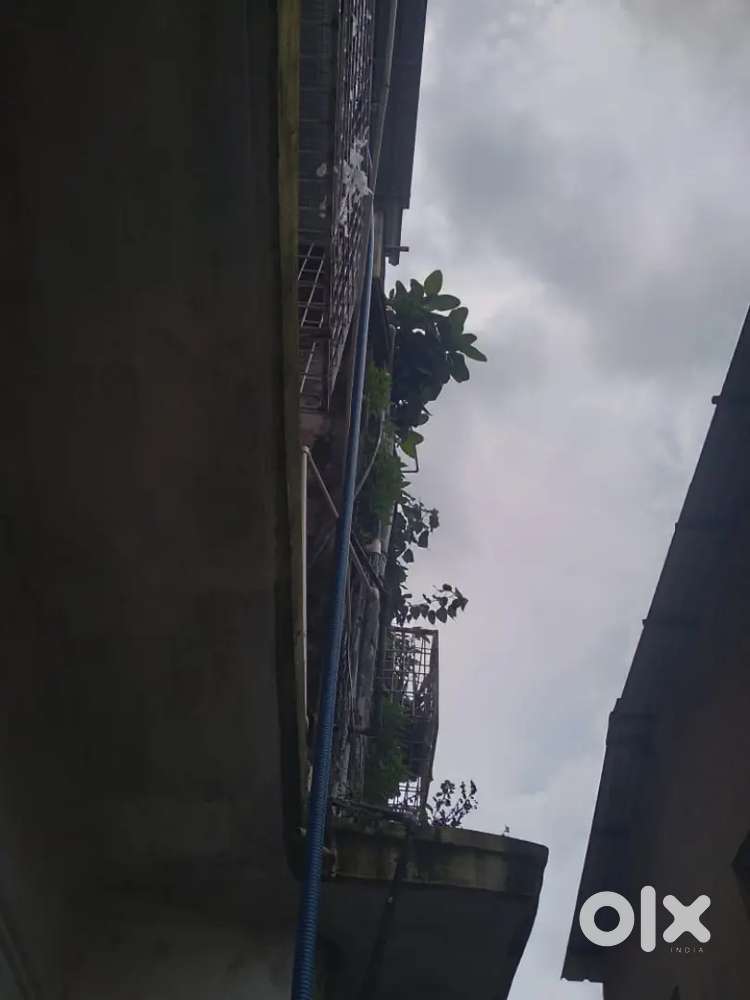Ceiling fan havells
