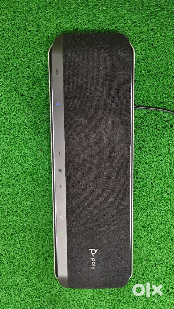Professional Speaker