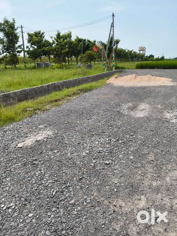 gggGreeny location venture at  kankipadu nearby CRDA chinnaogirala