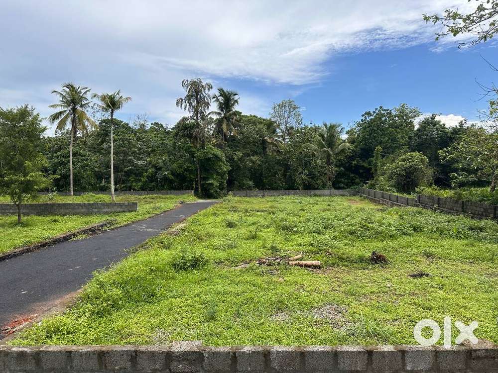 6, 17 cent Premium House Plot @ ANGAMALY