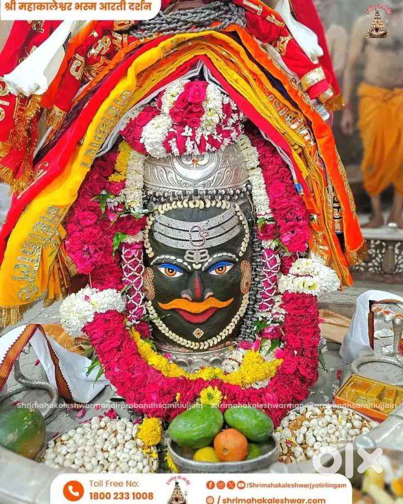 Only female marketing work data collection