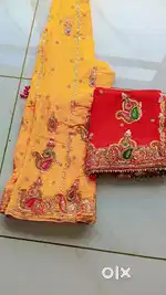 Saniya choli