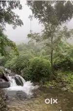 Farm land/Agriculture land(7000/cent)