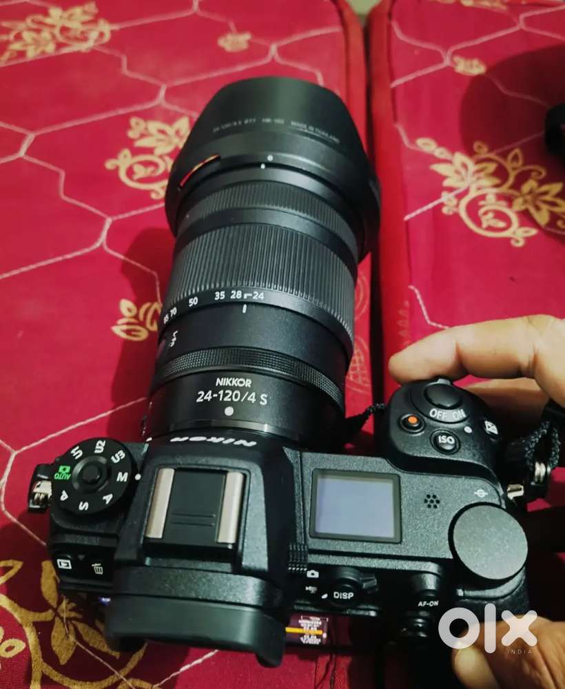 Nikon Z6 !! With 24-120 F/4 S lens