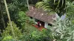 Farm land for sale Agali , Attappadi 2.87 Acre