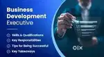 BUSINESS DEVELOPMENT EXECUTIVE