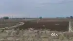 Plots  avilable. 1.75. Bigha land