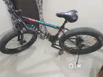 Wegas fat bike