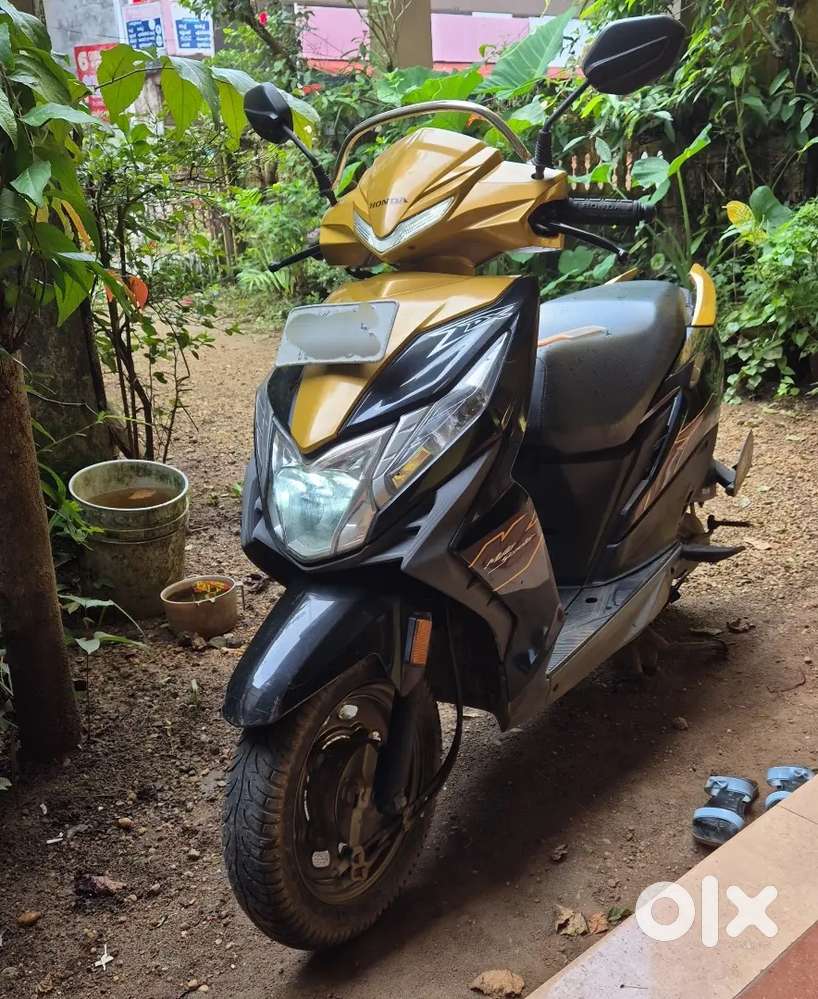 Black and yellow dio