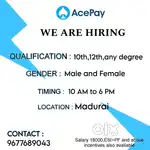 Field sales executive