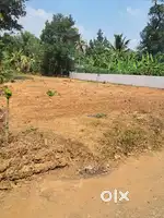 8 cent land for sale in Marampilly Aluva,near perumbavoor,Vazhakulam