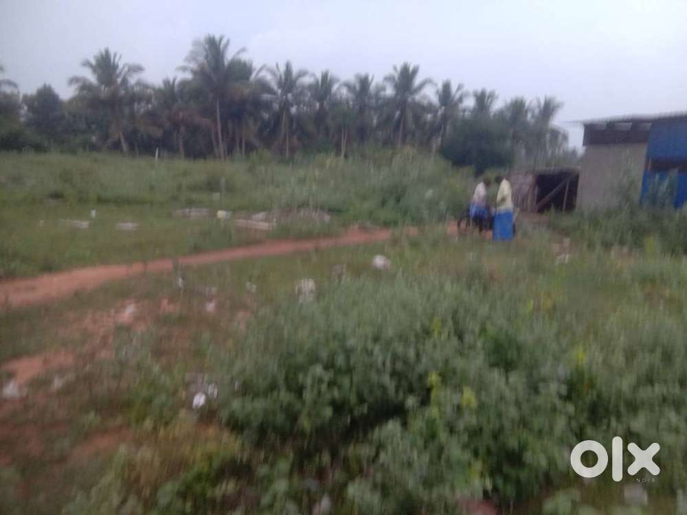 Natham bypass farmland sale