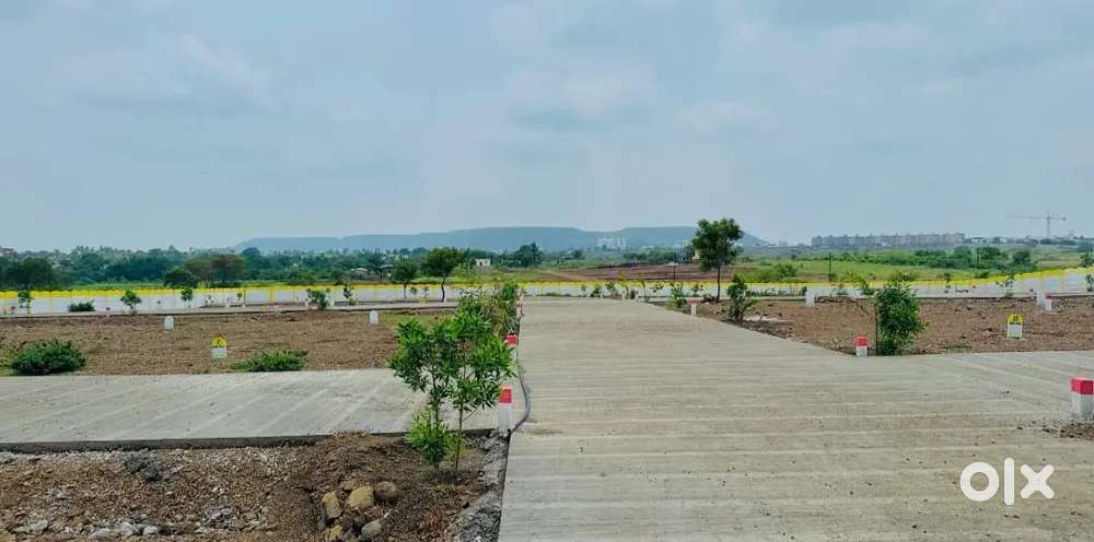 Urgent Hiring Sales Executive for Ploting