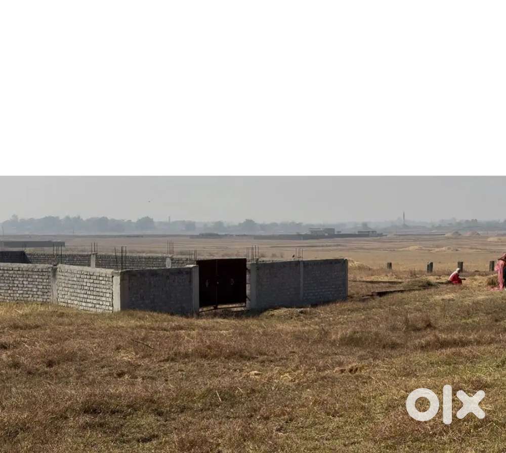 19 Dismil general plot