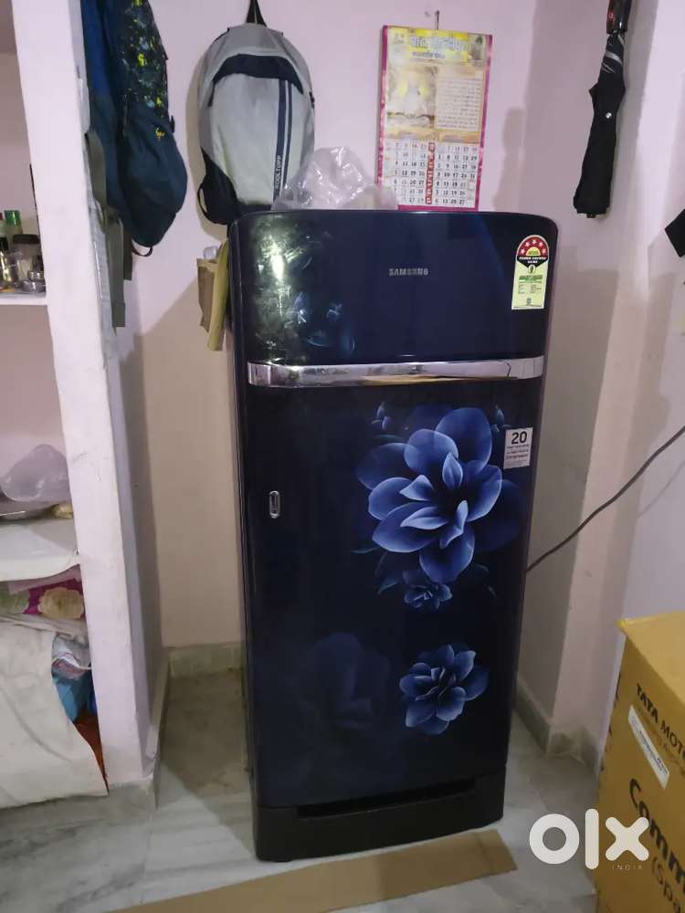 Fridge 1 yr old well preserved