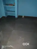 Sai vihar colony (prachi vihar) t.v. tower bade aatarmuda Raigarh