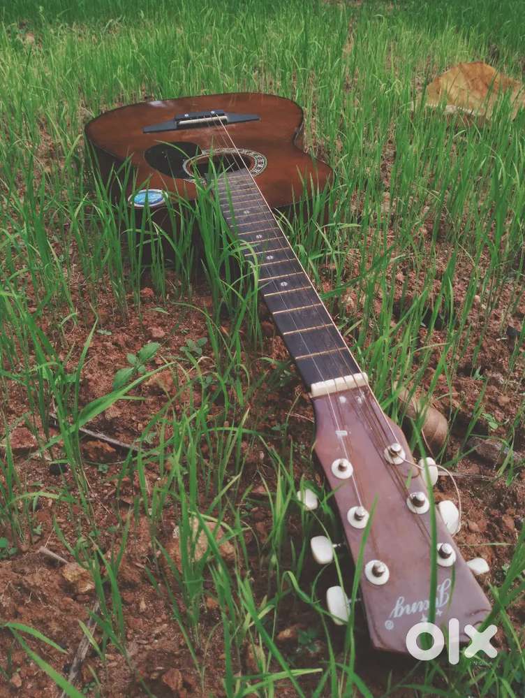 Guitar for rent